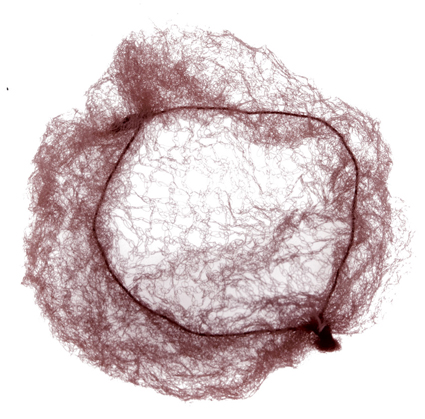 Dewal Сеточка-паутинка для прически, 2шт/уп, темно-коричневая 