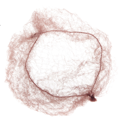 Dewal Сеточка-паутинка для прически, 2шт/уп, коричневая